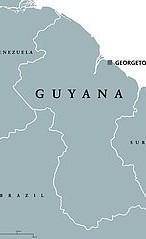 What is guyana immediate continental neighbours?