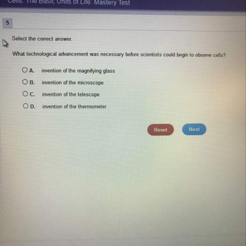 Can someone tell me the right answer