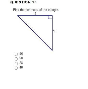 Find the perimeter of the triangle.96202848