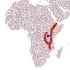 The red highlighted area is showing the great rift valley?