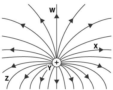 The diagram shows the electric field in the vicinity of a charge. at which point is the electric fie