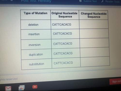 This is post test! drag each label to the correct location. match the changed nucleotide sequence