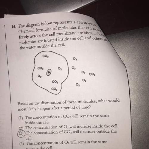 What is the correct answer for number 14 ? explain why