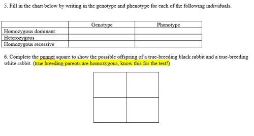 Fill in the chart below by writing in the genotype and phenotype for each of the following individua