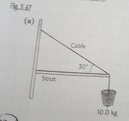 A10kg flowerpot is suspended from the end of a horizontal strut by a cable attached at 30° above the