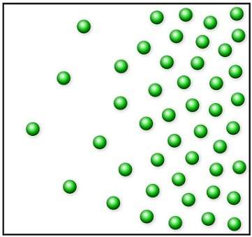 The image shows particles of salt dissolved in water.how will the arrangement of salt particles most