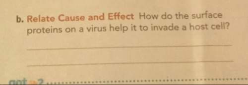 How do the surface proteins on a virus it to invade a host cell?