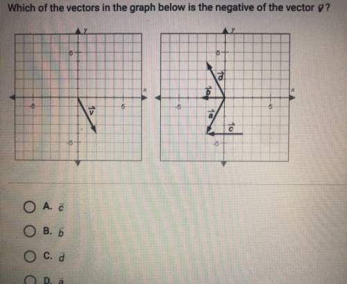 Which of the vectors in the graph below is the negative of the vector v?