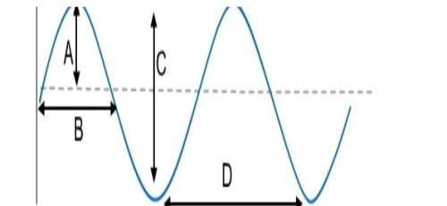 Which letter indicates the wavelength of the wave?