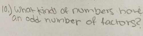 What kinds of numbers have an odd number of factors?