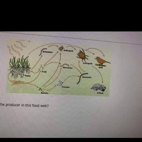 Which organism is the producer in this food web? 7th grade question. a) arthropods b) birds c) fun