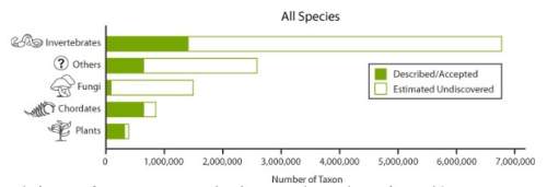 Which group of organisms are most abundant on earth according to this graph? a) invertebrates b)