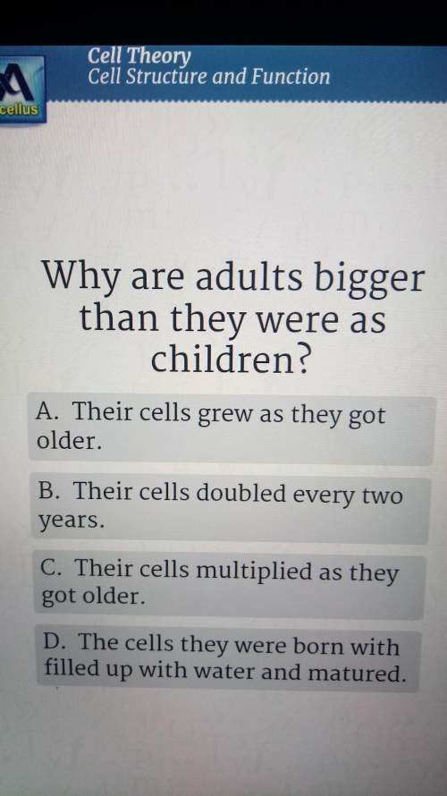 Why are adults bigger than they were as children biology