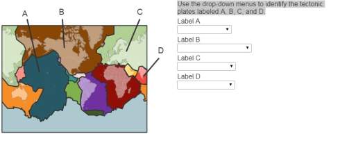 Use the drop-down menus to identify the tectonic plates labeled a, b, c, and d.