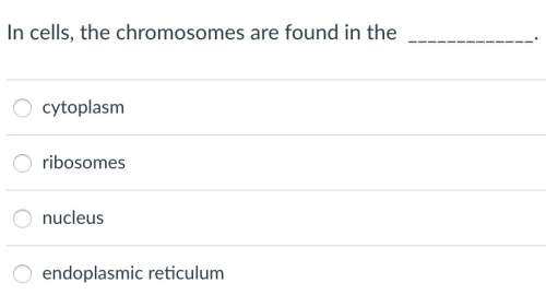 In cells, the chromosomes are found in the