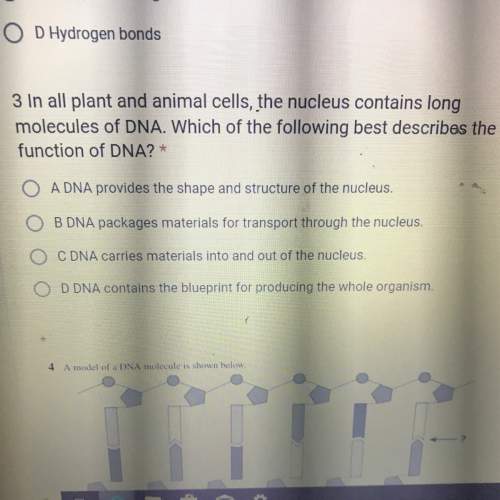 Could someone me with this answer ?