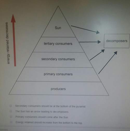 What's wrong with this ecological pyramid? (multiple choice)1. secondary consumers should be at the