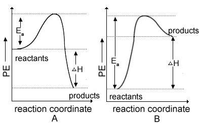 This is due todaystudy the graph below to answer the question.reaction a is an exothermic process an
