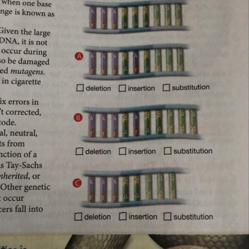 Place a check mark in the box to indicate which type of mutation is being shown. super urgent