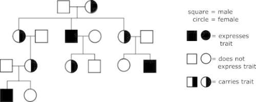 Analyze the pedigree shown. the trait in the pedigree above is (blank) and (blank)1. autosomal2. sex