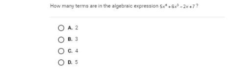 How many terms are in the algebraic expression?