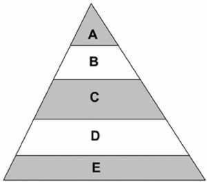 Examine the energy pyramid shown above. suppose that your teacher hands you a clump of grass and a r