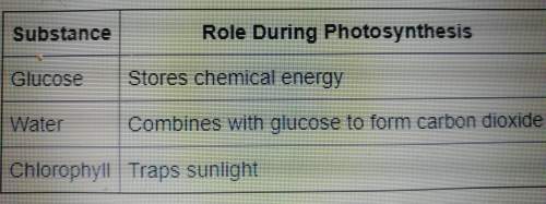 Its easy, answer the table below shows the role of different substances during photosynthesis.(pictu