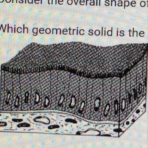 Which geometric solid is the best model for these cells?