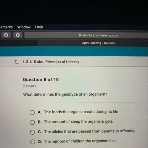 What determines the genotype or an organism