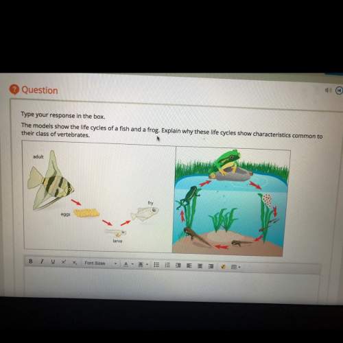 Explain why the life cycles of the frog and the fish show characteristics common to their class of v