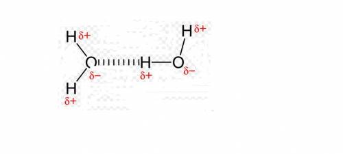The tendency of water molecules to attract one another due to polarity is called  ionic bonding hydr