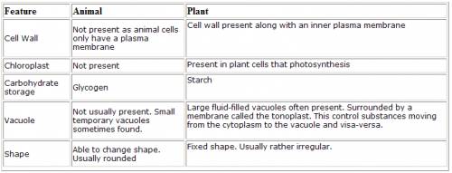 5facts about plant and animal cells