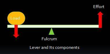 Which of the following is not a component of a lever?  a. effort b. tension c. fulcrum d. load