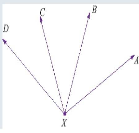 Given the following diagram, enter the required information. m bxa = 30° 20', m cxb = 40° 35'. m cxa
