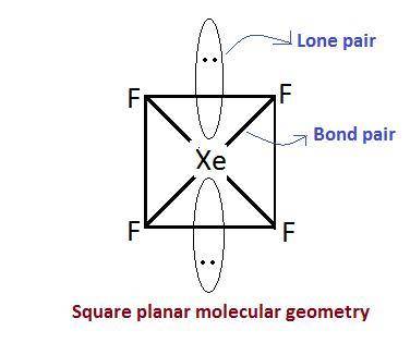 The shape of a molecule is square planar. how many lone pairs of electrons are there on the central