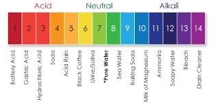 Ineed a good picture of the ph scale with acids and bases including all the foods that go on it