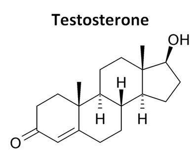 Testosterone and estradiol are male and female sex hormones, respectively, in many vertebrates. in w