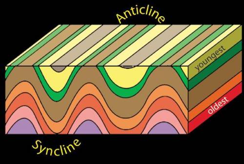 Explain how you tell if a fold was an anticline or syncline?
