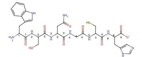 Can you draw the peptide structure at ph 7.0 (including peptide bonds) peptide bond sequence :  tryp