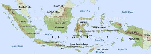Malaysia and indonesia occupy the same island. true or false?