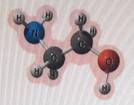 How many atoms in the pictured molecule can form hydrogen bonds with water molecules?