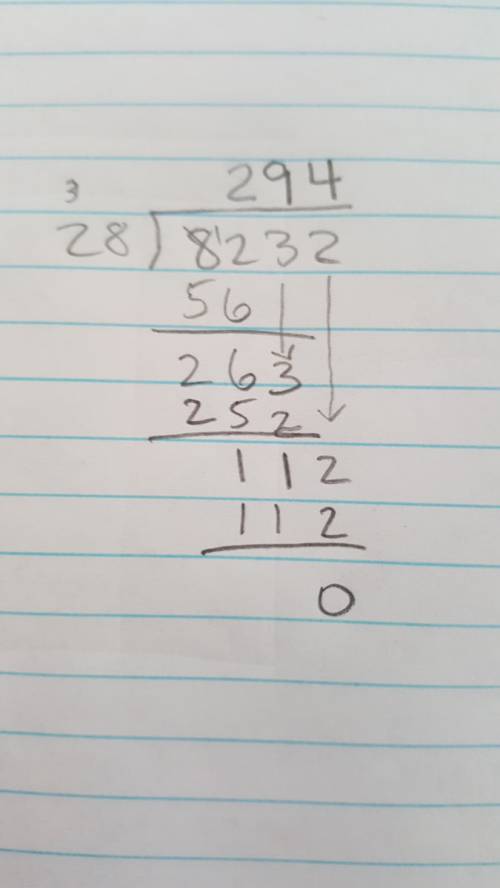 Answer with the work 8232 divided by 28