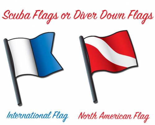 If you see a displayed diver-down flag while boating, how far away from the flag must you stay?