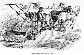 Which invention ensured that raising wheat would remain the main economic activity in the midwestern