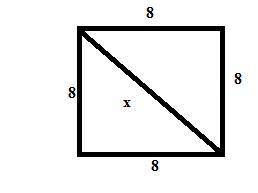 a crawling insect sits in a 8x8x8 room. it starts on the center of the floor of the cube. how far mu