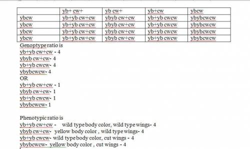 The recessive alleles for yellow body (yb) and cut wings (cw) identify two autosomal genes on the se