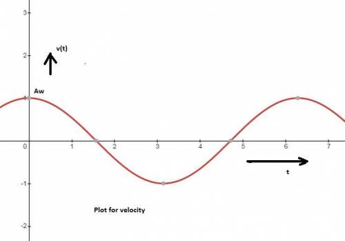 For a body moving with simple harmonic motion state the equations to represent:  i) velocity ii) acc