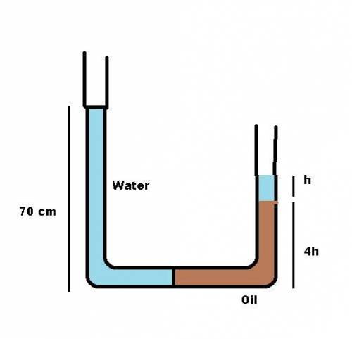 Au tube manometer has water poured into the left side and oil (density is 790 kg/m^3) poured into to