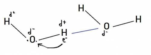 How are hydrogen bonds formed between water molecules?  use a drawing to illustrate.