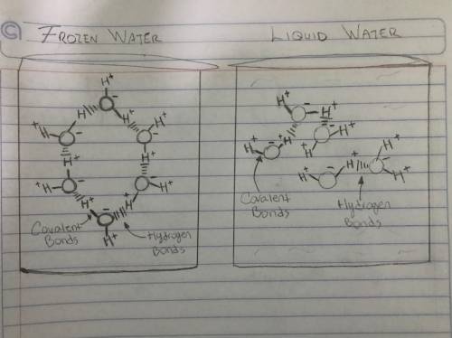 A) draw and label five water molecules in a beaker of liquid water and five water molecules a beaker